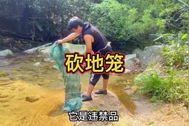 地笼是国家明文禁止的捕鱼工具，我必须给它盘了视频封面