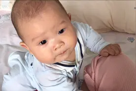 才七个月，就到了狗都嫌的时候了吗？