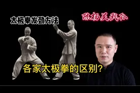 太极拳之“发劲的细节” 示范  看完打拳时架子都“高了”视频封面