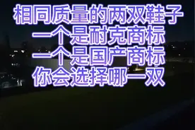 工艺相同，质量相同，商标不同的两双鞋，你会选择买国产商标吗视频封面