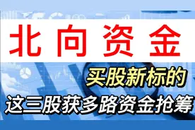 北向资金买股出现新标的，三只个股获多路资金抢筹大涨。视频封面