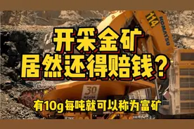 一吨金矿只能产出10克黄金，金价随时变动，开采金矿还得赔钱？视频封面