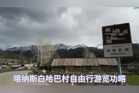 喀纳斯白哈巴村自由行游览功略#新疆自然风景图片
