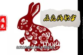 属兔的职业视频封面