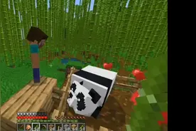 离谱我的世界，熊猫居然在啃食TNT