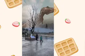 怎么这么多恐龙呀