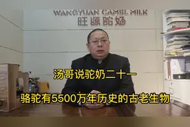 骆驼，来自北美洲，距今约5500万年的古老生物。视频封面