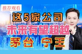 未来有望超越茅台、宁王的5家上市公司，请收藏好，仔细研究！