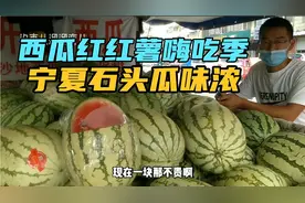 开封本地西瓜下市了？取而代之宁夏石头瓜，西瓜红红薯丰收季。视频封面
