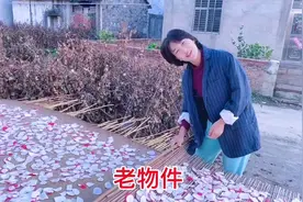 九溪和妈妈用300斤萝卜做一道特色美食，还用上了30年前的老物件视频封面