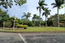 梦难留  演唱  生命中的过客