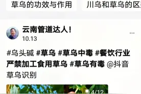 看抖音搜索〈草乌〉中草药的功效与作用录屏7分钟