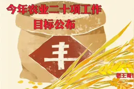 今年农业二十项工作目标公布视频封面