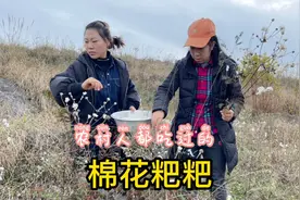 多少农村人的童年记忆，都寄托在这野棉花粑粑上，你有吃过吗？