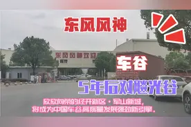 武汉经济开发区，军山新城，现在你爱搭不理，5年后要你高攀不起视频封面