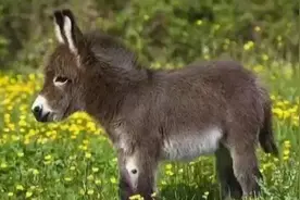 嘴巴子给你拍出火辣辣的烈焰红唇💋🤣🤣🤣