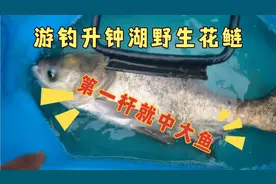 游钓西南最大水库升钟湖鱼情好大鱼多，自制美味烹饪野生花鲢视频封面