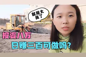 农家院挖两大坑，投资8万日赚300？满院子酸臭味这活能干吗？视频封面