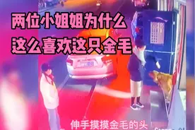 监控下温情一幕，路人小姐姐与金毛互动玩耍，临走还不忘合影！视频封面