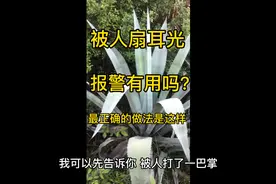 被人打了耳光，就该这样报警处理！长知识了！