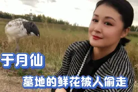 网友爆料：于月仙墓地的鲜花被人偷走，墓园治安情况令人担忧视频封面