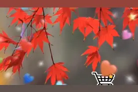 《自控力》二  如何抵御外在诱惑，提高自控力，书中有好方法呦！视频封面