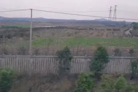 如果早知道那是最后一次见你，我一定会多看你几眼视频封面