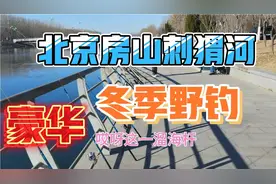 北京房山良乡刺猬河野钓大鲫鱼，岸边50米摆放37把鱼竿钓多少鱼？视频封面