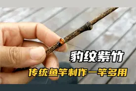 一根漂亮的豹纹紫竹，可惜根伤了，做成鱼竿后挺暴力！视频封面