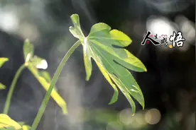 人生感悟！非常好的一段话。