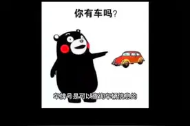 车牌号如何查电话视频封面