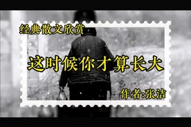 《这时候你才算长大》，作者，张洁