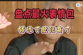 盘点最火表情包视频封面