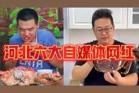 盘点河北六大自媒体网红大咖，猜猜都有谁，你最喜欢哪一个？视频封面