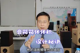 音箱箱体应该取多大？音响发烧友为您专业解读，一听就懂一看就会视频封面