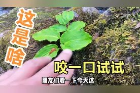 在农村什么工作日入1500元、来看看你喜欢这种工作吗视频封面