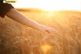 《美丽心情》有机会一起散步吧，我的手需要有人来温暖