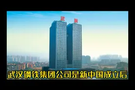 武汉钢铁集团有限公司视频封面