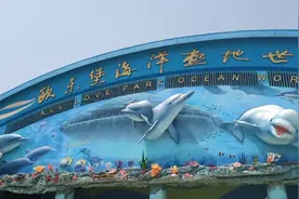 徐州欧乐堡海洋极地世界  人鱼表演视频封面