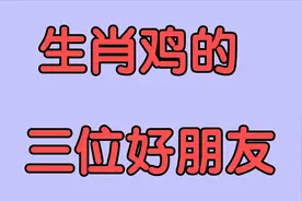生肖鸡的三位好朋友