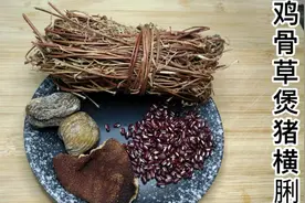 春夏季节湿气重，广东人煲鸡骨草猪横脷汤。清热解毒，清肝祛湿