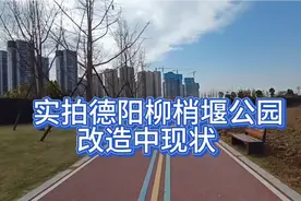 德阳经开区河东保利国际城旁，柳梢堰公园改造中现状，比原来好吗视频封面