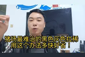 猪场最难治的黑色灰色拉稀(回肠炎)，用这个办法好的快不反复！视频封面