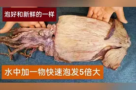 泡发干鱿鱼，只用清水就错了，20年大厨教我一招，快速泡发5倍大视频封面