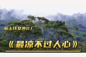 新上线女声DJ《最凉不过人心》视频封面