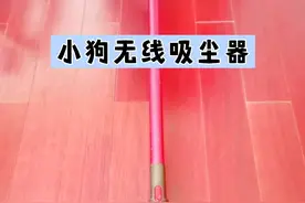 花几毛钱解决小狗无线吸尘器的故障视频封面