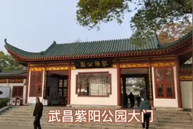 游武昌紫阳公园，看水杉林色彩斑斓，观紫楿长廊斗拱飞檐古色古香视频封面