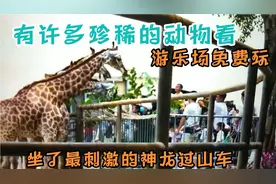 玉林福绵，要是有一个这样的动物园，那该有多好 ，视频封面