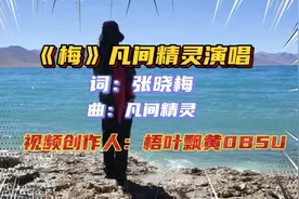 《梅》凡间精灵原唱，声音纯净空灵，歌词句句走心，超级好听…