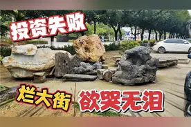 烂大街了，欲哭无泪，错过时机盲目跟风，结果投资失败，有去无回视频封面